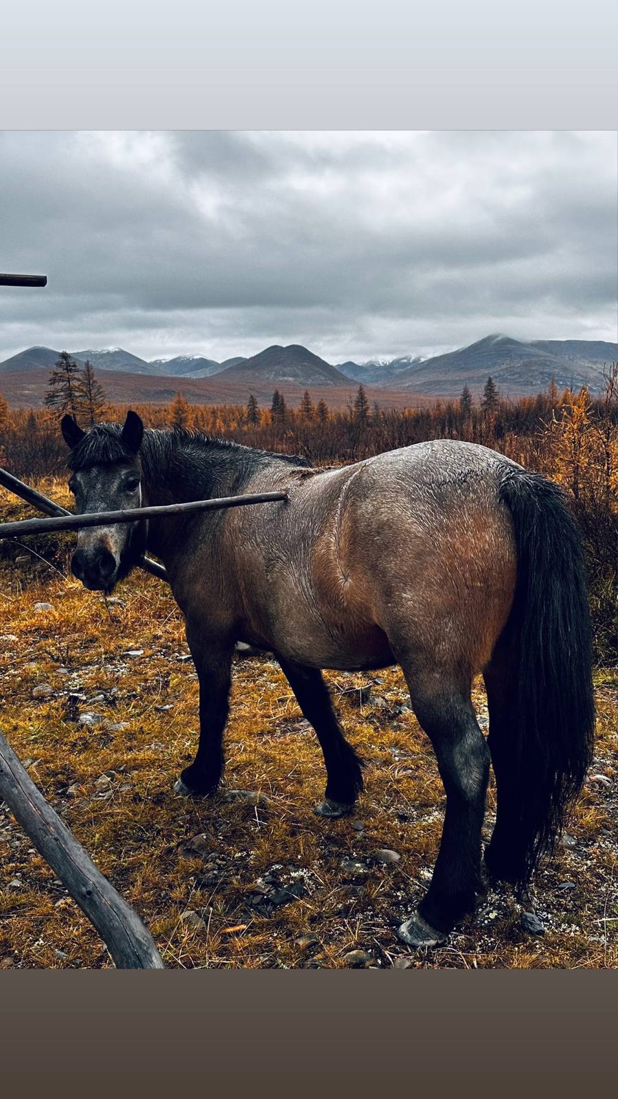 Мобильная фотография — кадр 68